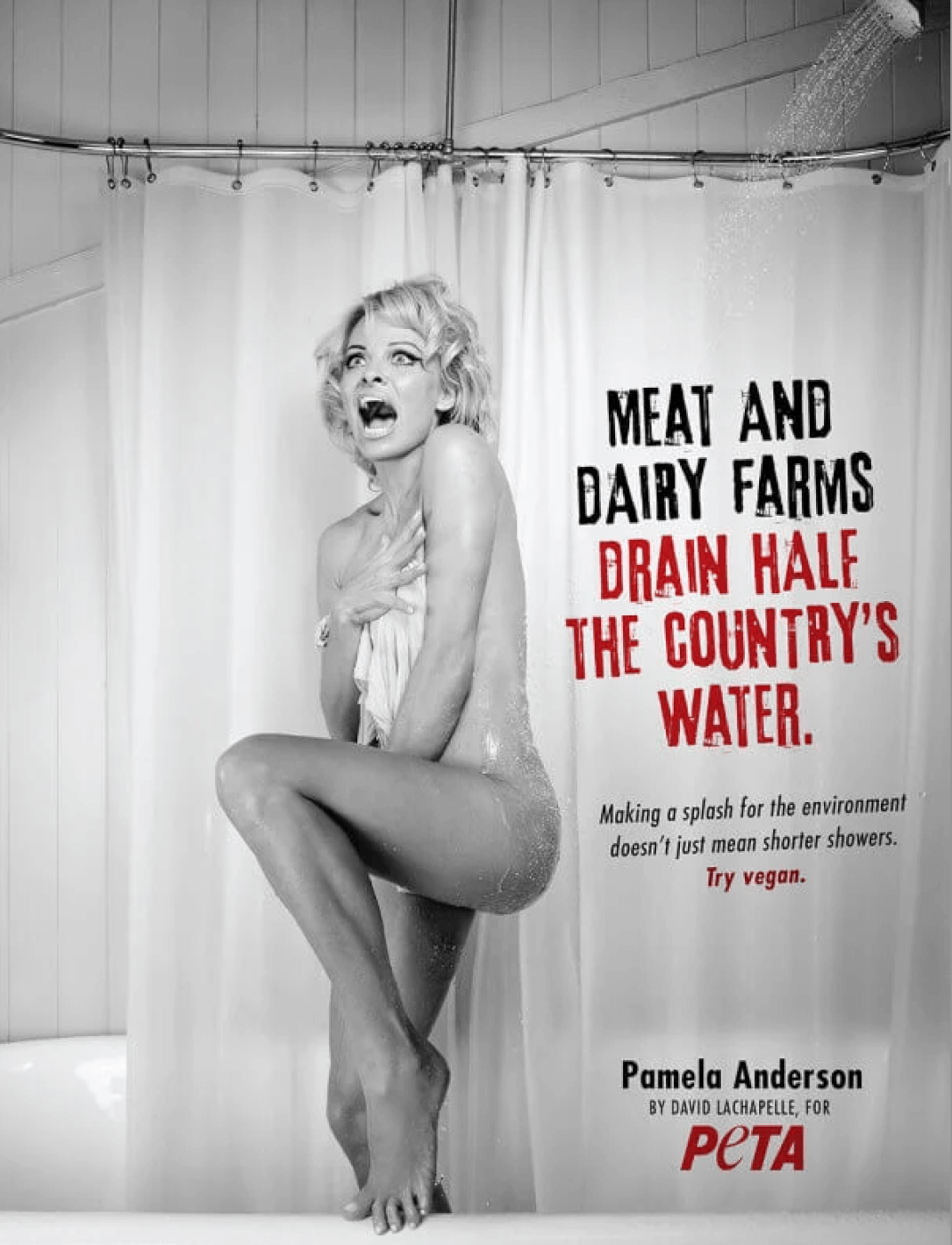pamela anderson peta ad